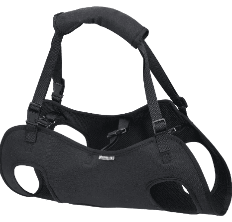 Black pet harness on a white background