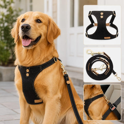 Black denim no-pull dog harness and leash set with adjustable straps and durable metal hardware for small, medium, and large dogs.
