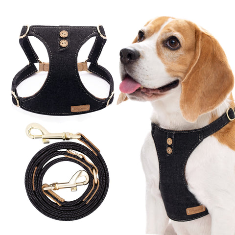 No-Pull Dog Harness & Multi-Function Leash Set â€“ Black (L)